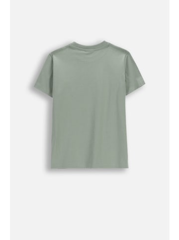 Coccodrillo Baumwoll-T-Shirt mit kurzen Ärmeln in grün