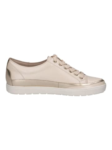 Caprice Sneaker in Cream