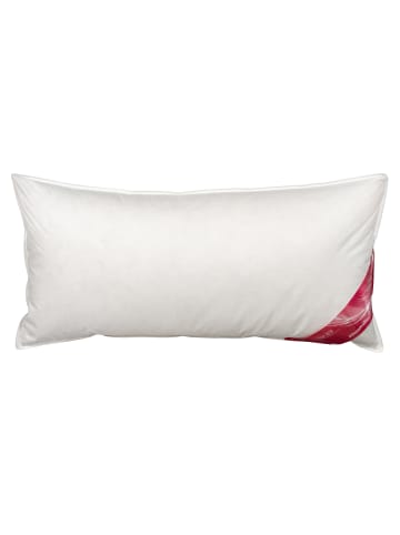 Künsemüller 50% Feder und 50% Daunen Kopfkissen in weiß
