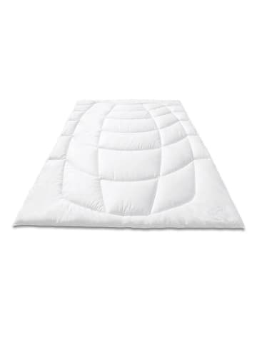 Sanders-Kauffmann Naturfaserbettdecke Wildseiden Steppbett Leicht, 200x220 cm