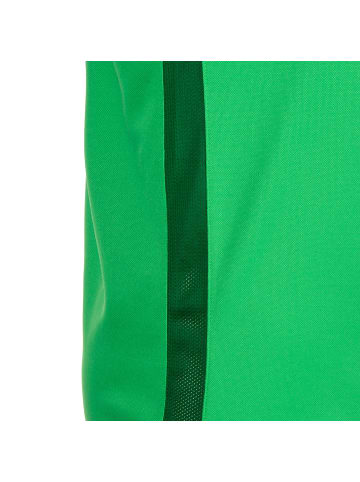 Nike Performance Poloshirt Academy 18 in grün / weiß