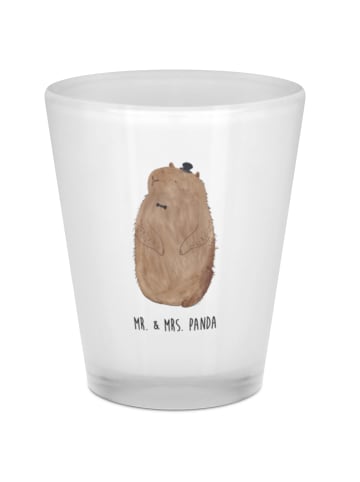 Mr. & Mrs. Panda Schnapsglas Murmeltier ohne Spruch in Transparent