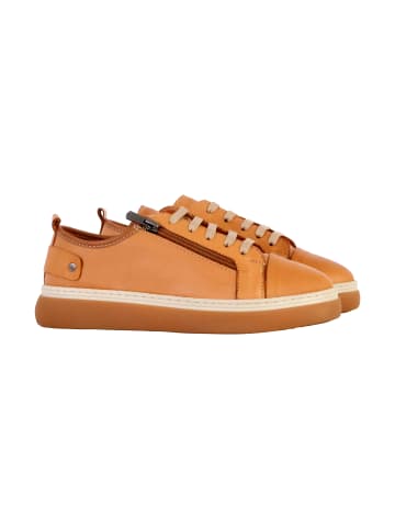 Divine Factory Sneaker Basse aus Leder Alénoa Braun