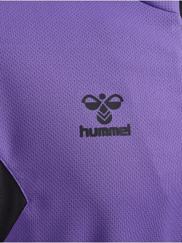 Hummel Halbreißverschluss Sweatshirt Hmlauthentic Multisport Herren in DAHLIA PURPLE/ASPHALT