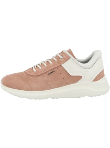 Geox Sneaker low D Diodiana B in orange