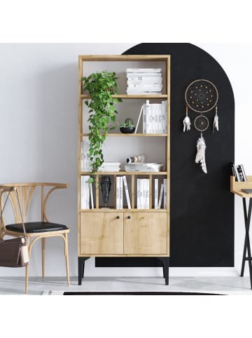 CALICOSY Regal POLLUX in Helles - (W)60 x (H)175 x (L)30 cm