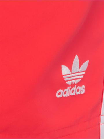 adidas Performance Badeshorts in rot