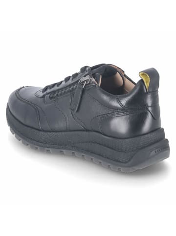 SALAMANDER Schnürhalbschuh in schwarz