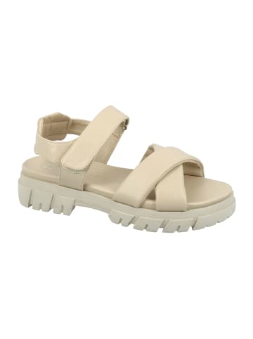 Tom Tailor Riemchensandalen in Beige