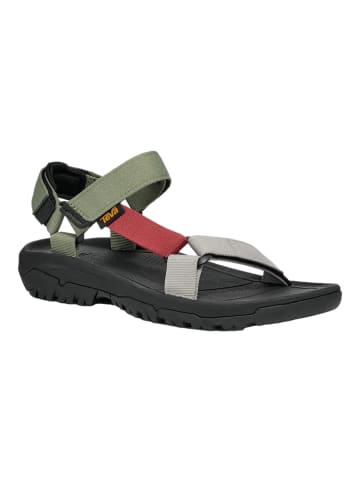 Teva Trekkingsandale Men's Hurricane XLT2 in olivine