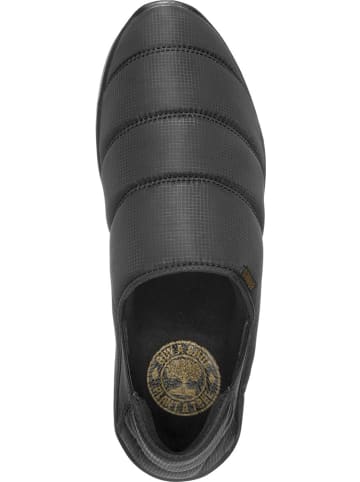 Etnies Skaterschuhe Scout Black Black Gum