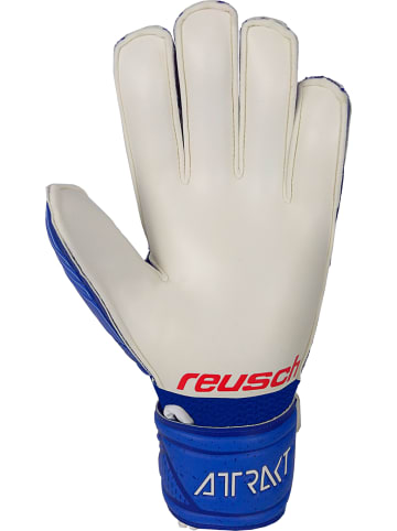 Reusch Torwarthandschuhe Attrakt Grip Finger Support in deep blue / white