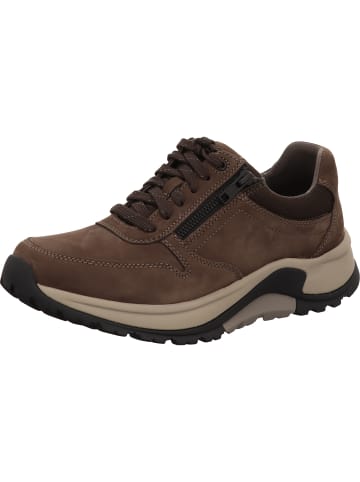 Gabor Sneaker Low in braun