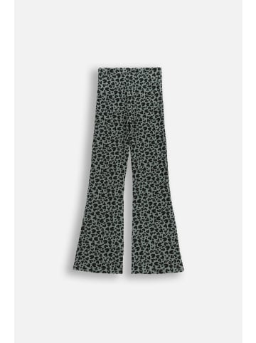 Coccodrillo Gerippte Leggings mit langem Bein in grün