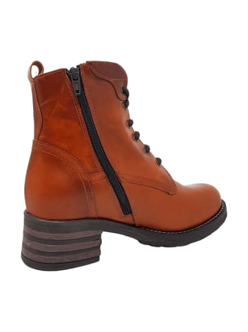 Brako Schnürstiefeletten in Braun