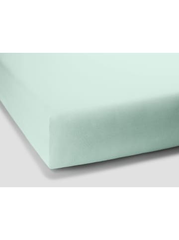 Formesse Spannbettlaken Bella Donna Jersey in Pastellgrün