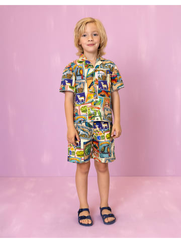 Oilily Patt Short in Grün