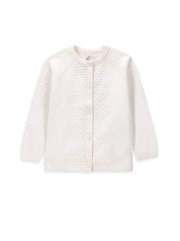 Coccodrillo Strickjacke in ecru