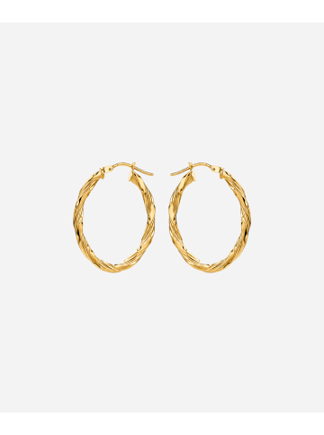 Vanlere Creolen aus 375 Gelbgold
