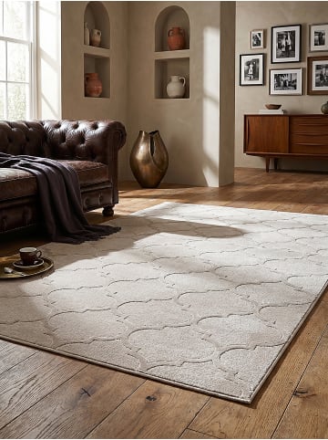 KADIMA DESIGN Teppich Kurzflor Orientalisch pflegeleicht Wohnzimmer Schlafzimmer Flur in Beige
