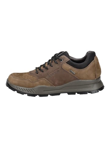 Igi&Co Sneaker Fango