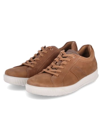 Ecco Sneaker BYWAY in CAMEL/CAMEL