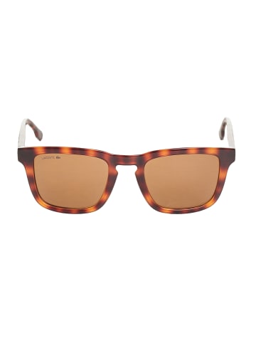 Lacoste Sonnenbrille in Brown