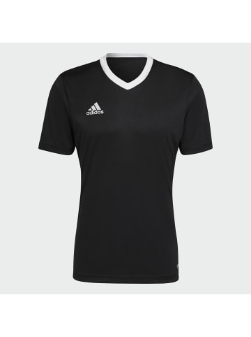 adidas T-Shirt für Herren in uni