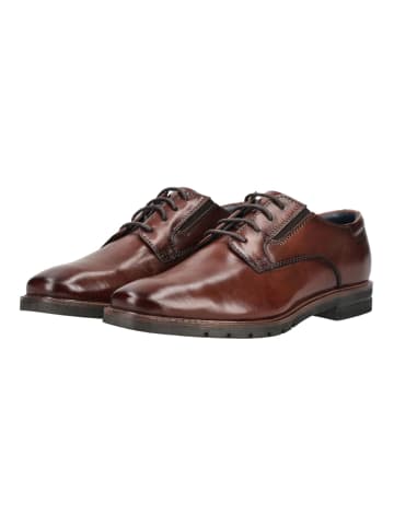 Bugatti Businessschuhe MERLO in Cognac