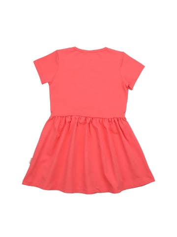 Walkiddy Kleid Hummingbirds Around Flowers-Dress