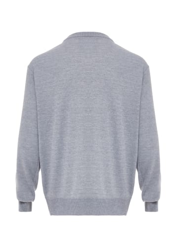 rovic Pullover in Hellgrau Melange