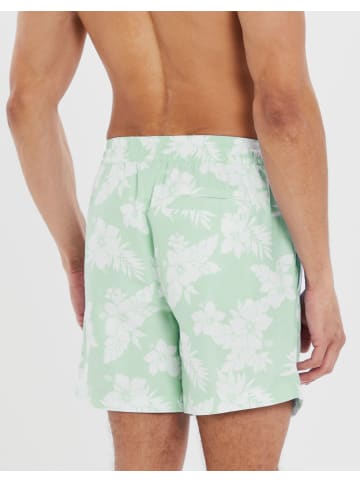 Threadbare Badehose THB Swim Short Sunset in Grün