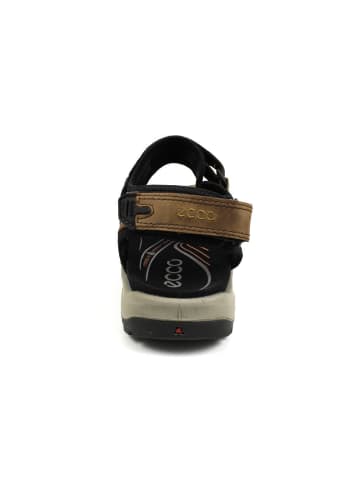 Ecco Sandalette in braun