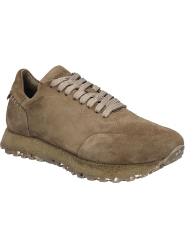 Josef Seibel Sneaker Adrian 01 in taupe