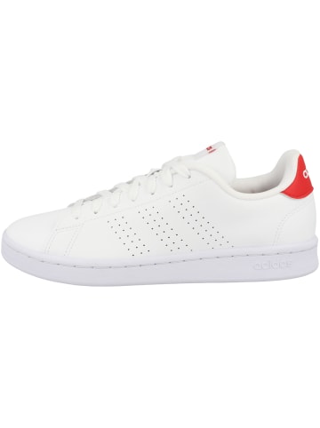 adidas Performance Sneaker low Advantage in weiss