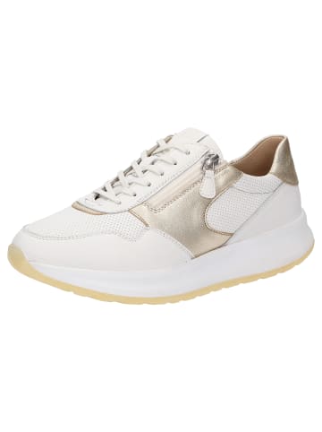 Sioux Sneaker Sunivla-700-J in gold