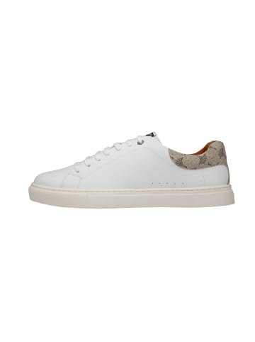 JOOP! Sneaker 'Mazzolino Fine Coralie in Beige'