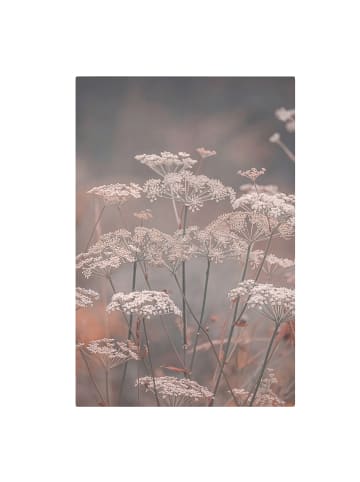 WALLART Leinwandbild - Wilde Doldenblüten in Rosa