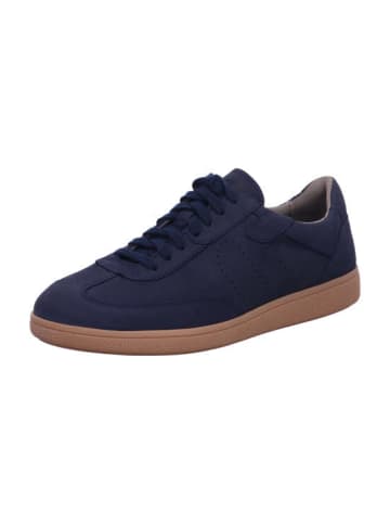 Pius Gabor Sneaker Low in blau