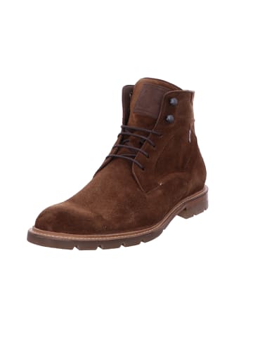 Floris van Bommel Stiefeletten/Boot in braun