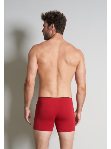 Götzburg Long-Pants 2Er Pack X-Lastic in rot-dunkel-uni