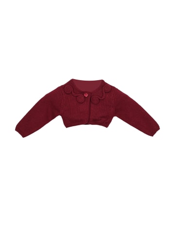 Tutto Piccolo Übergangsjacke in Bordeaux