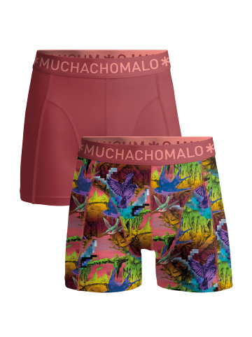 Muchachomalo 2er-Set: Boxershort in Mehrfarbig - für Kinder