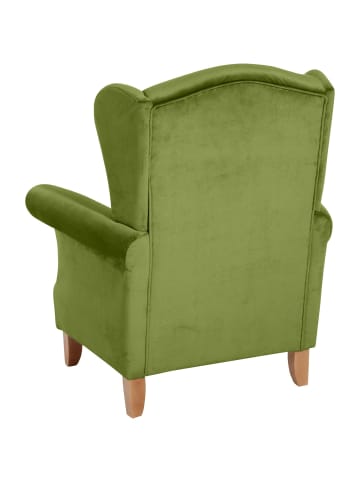 58 aufm Kessel OHRENSESSEL Katria Bezug Samtvelours Buche natur / oliv