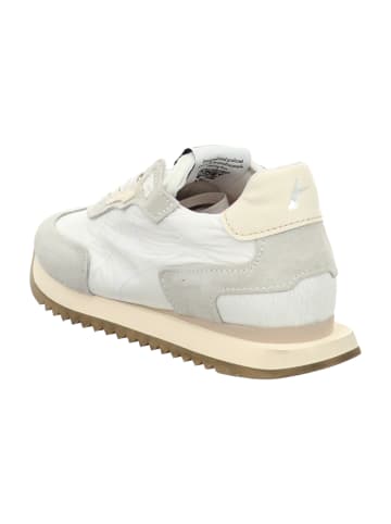 Archivio 22 Sneaker Low in Grau