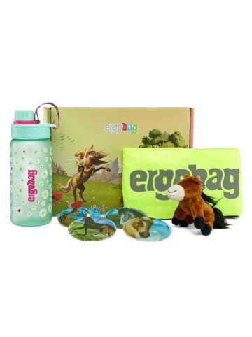 Ergobag Zubehör Geschenkbox 5 tlg in Pferde