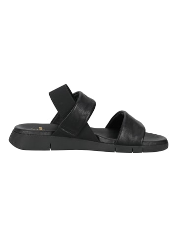 Sansibar Sandalen in Schwarz