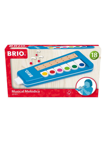 Brio Kreativität BRIO Kinder Melodica Ab 18 Monate in bunt