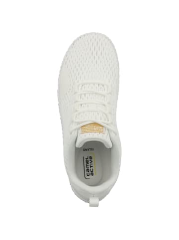 Camel Active Sneaker low 54IL201 in weiss