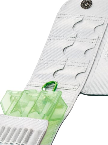 BULLS Dartcase SECC Darttasche Dartbox Pfeilaufbewahrung Darts-Etui in grün